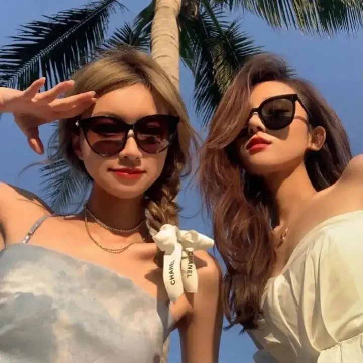 多瑙河行动